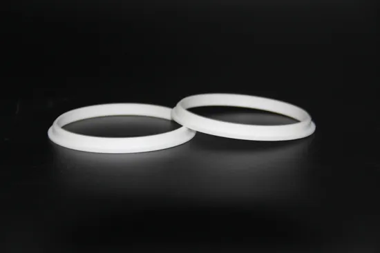 Custom PTFE Dust Seal Ring 