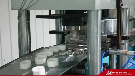 Coil Spring and V Spring Energized PTFE Static Seal or Rotary Seal 