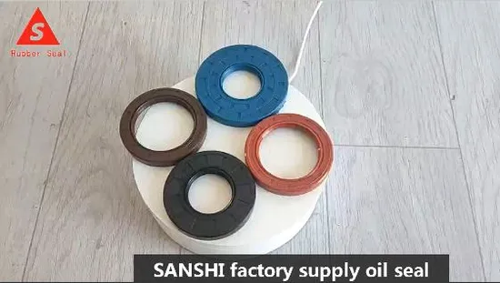 Mould Heat Resisting UV NBR FPM Transmission Oil Seal for Static Seal 