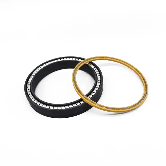 OEM Spring Energized PTFE Seal/PTFE Static Seal with ISO9000 Certificate 