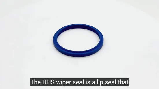 Premium Dhs Type Hydraulic Cylinder Dust Sealing Ring 