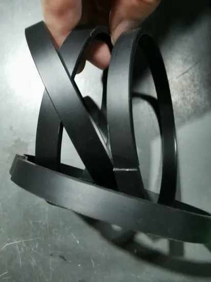 Guide Ring PA Material Gst Element for Hydraulic Cylinder 