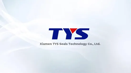 Dust Seal Ring PTFE Material for Reliable Hydraulic Cylinder Performance 