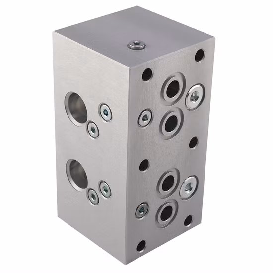 The Custom Hydraulic Manifolds Block with Relief Valve